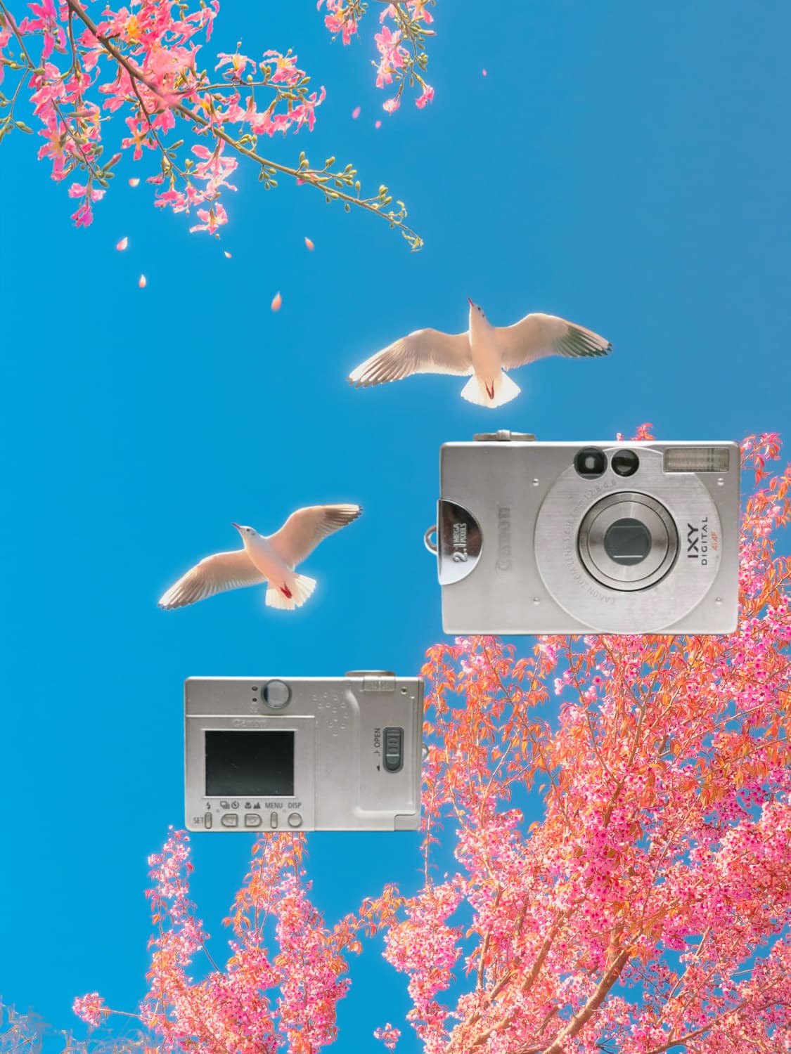 Canon ixy digital pc1001 상품이미지1