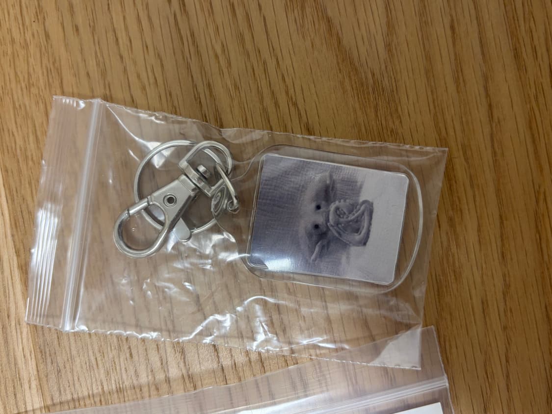 코이세이오 고시오 푸루시 키링&스티커 일괄 판매 상품이미지4