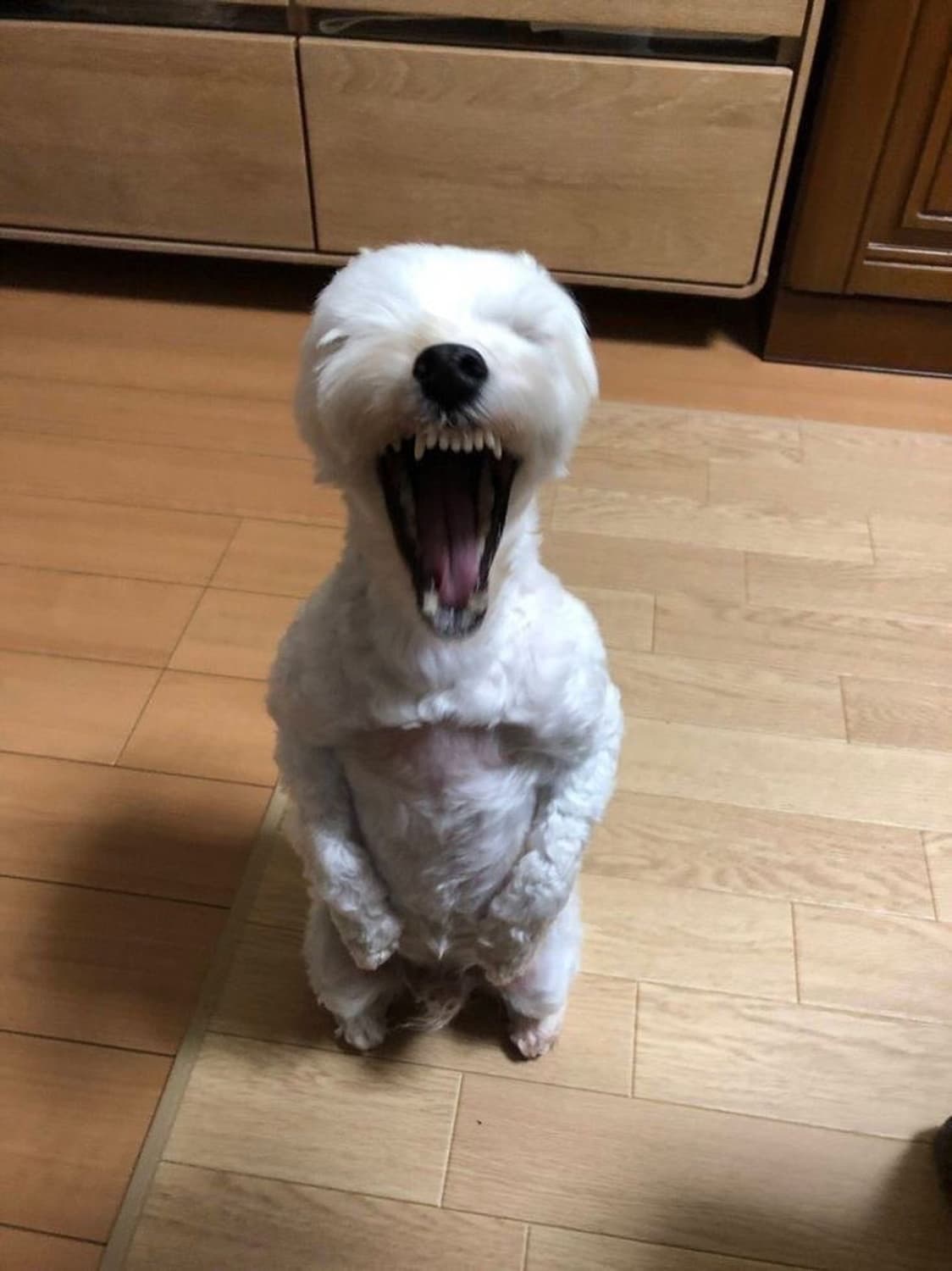 오늘까지 팔리지 않는다면 버리는 제품들… 상품이미지1