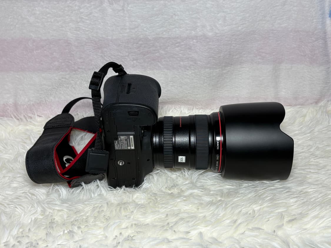 캐논 EOS 5D Mark IV + EF 17-40mm 렌즈 세트 판매  상품이미지3