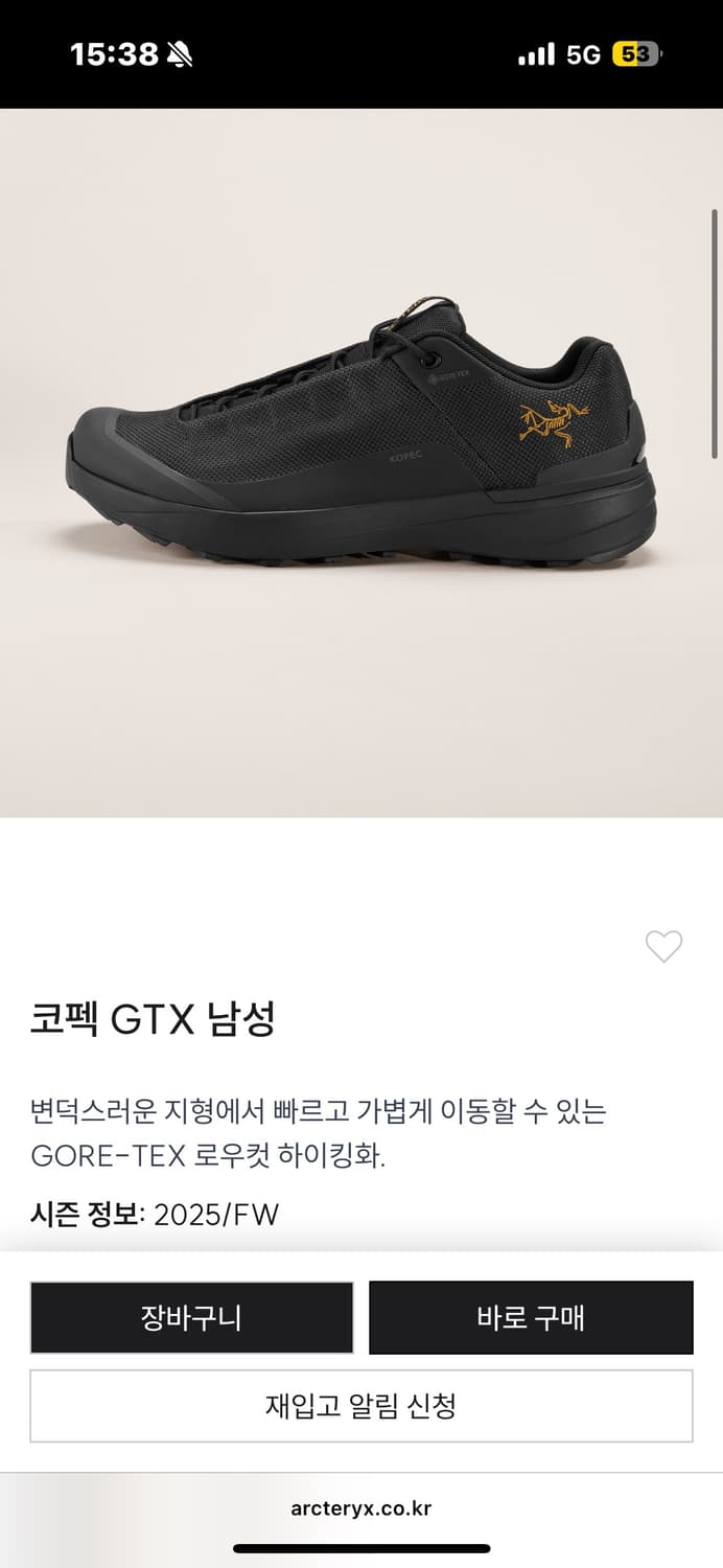 아크테릭스 코펙 GTX 남성 270 상품이미지1