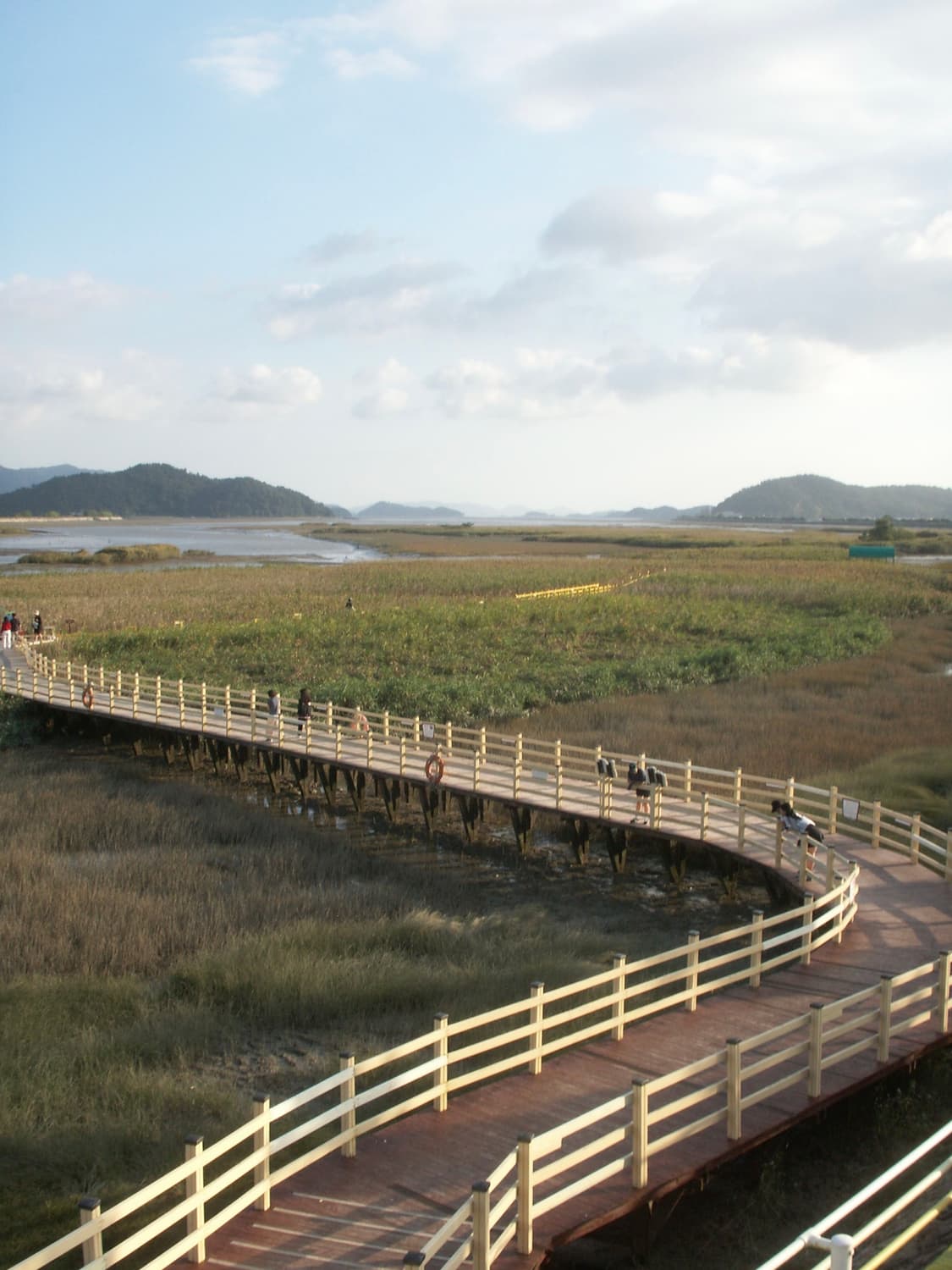 코니카 미놀타 디이미지 x1 (작례o) 상품이미지5