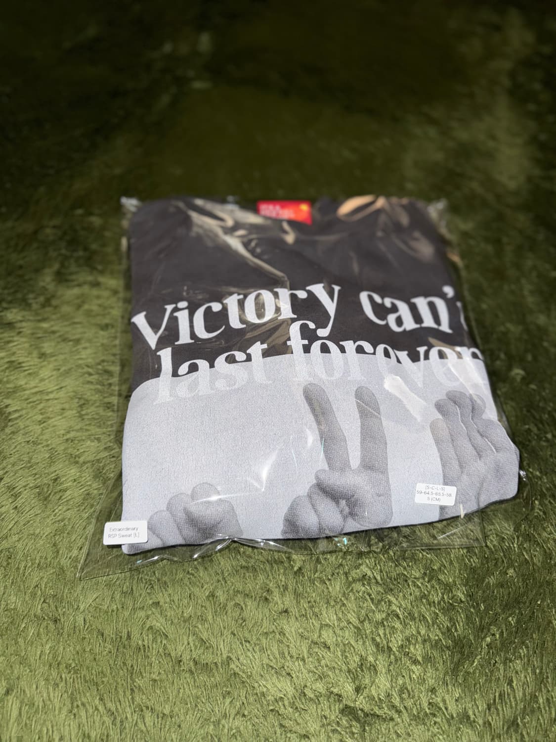 [L] 엑스트라오디너리 RSF 그래픽 릴렉스 핏 스웻셔츠 챠콜 상품이미지10