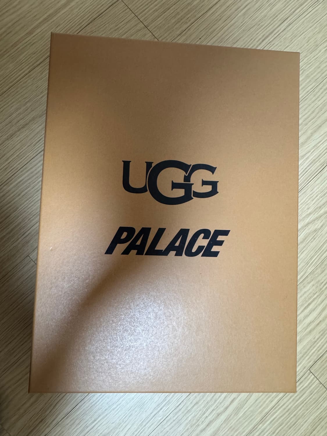 팔라스 어그 루니툰 타그만 us9 상품이미지3