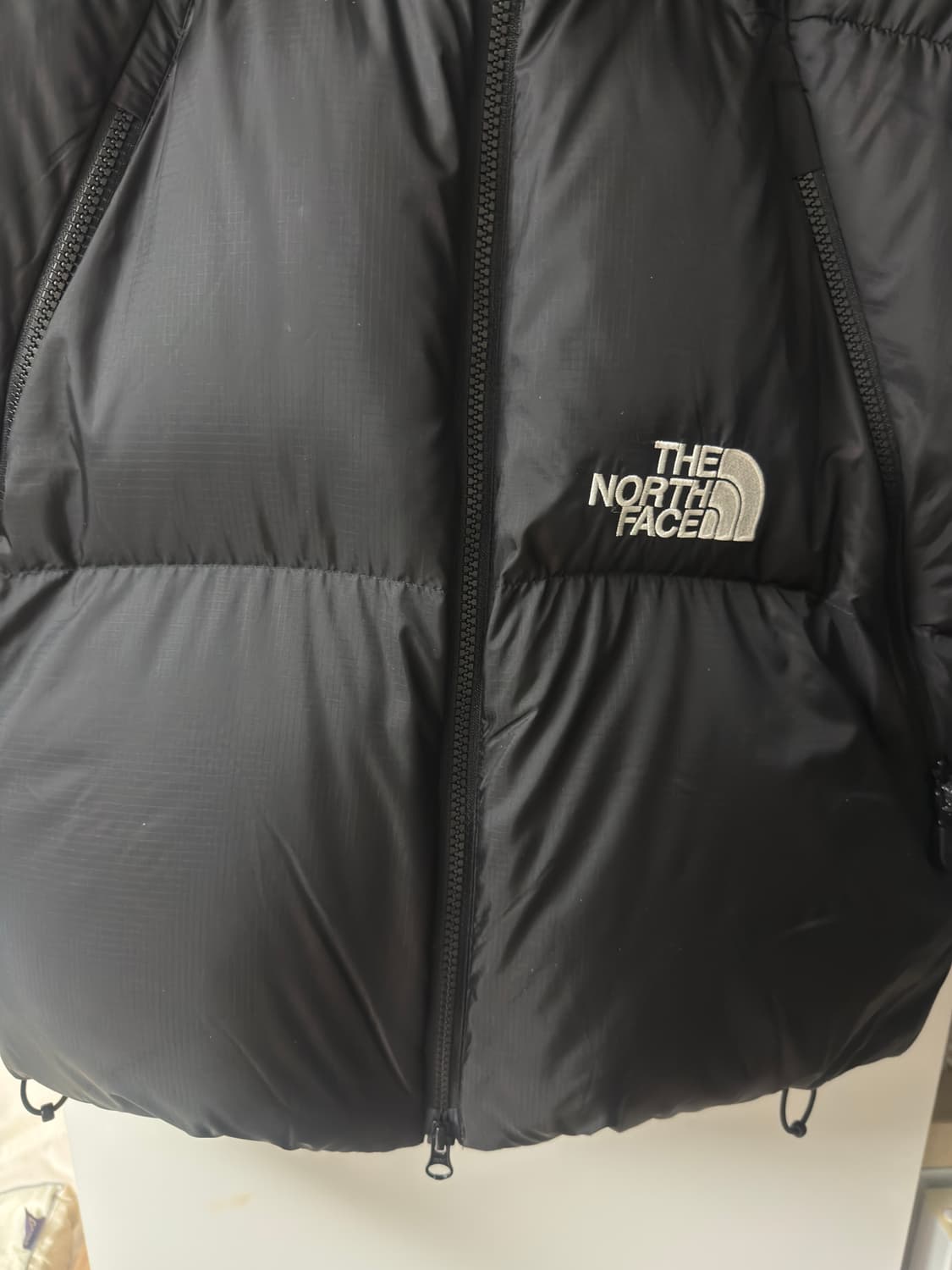 노스페이스 프로젝트 RDS 다운 블랙 L 상품이미지2