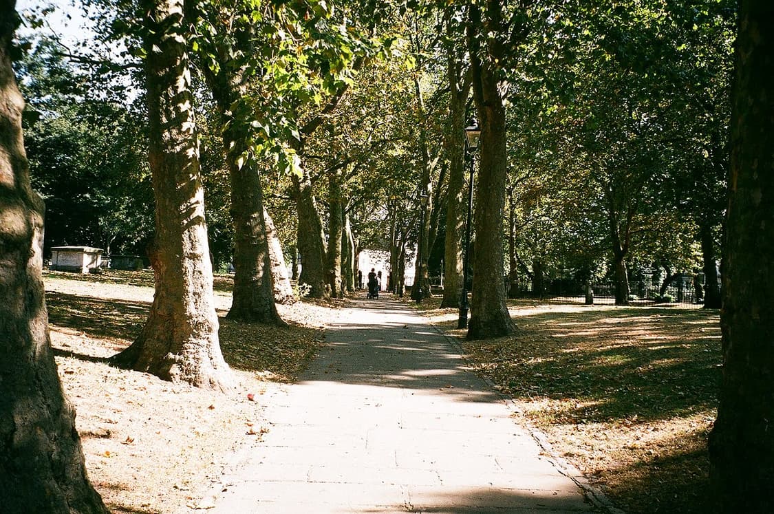 작례O 심혜진 카메라 삼성 af zoom 700 필름카메라 빈티지 필카 상품이미지5