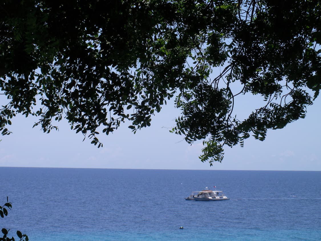 (작례o) 산요작티 Sanyo Xacti DMX-GH1 빈티지 캠코더 상품이미지5