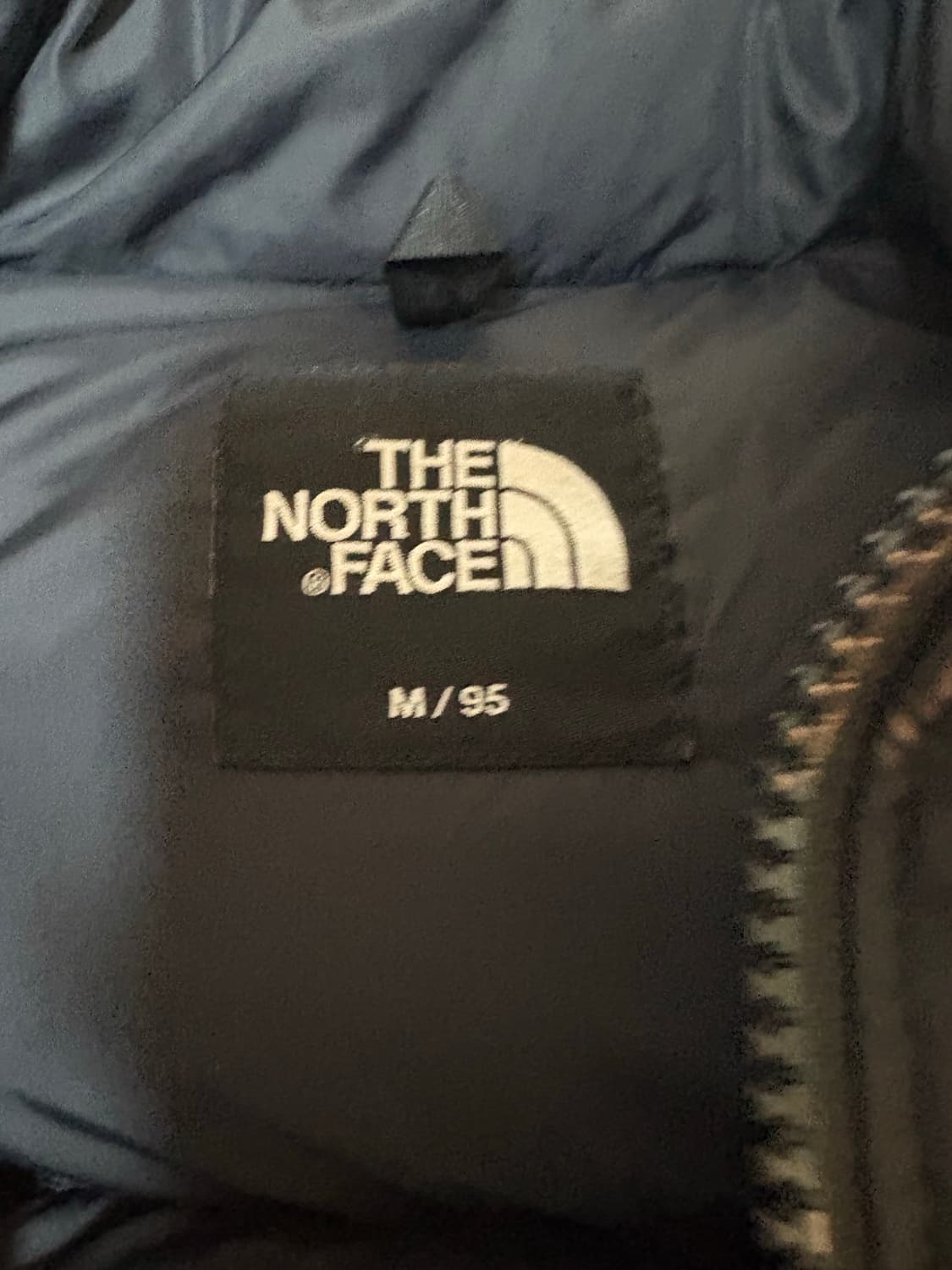 1996에코눕시 상품이미지4