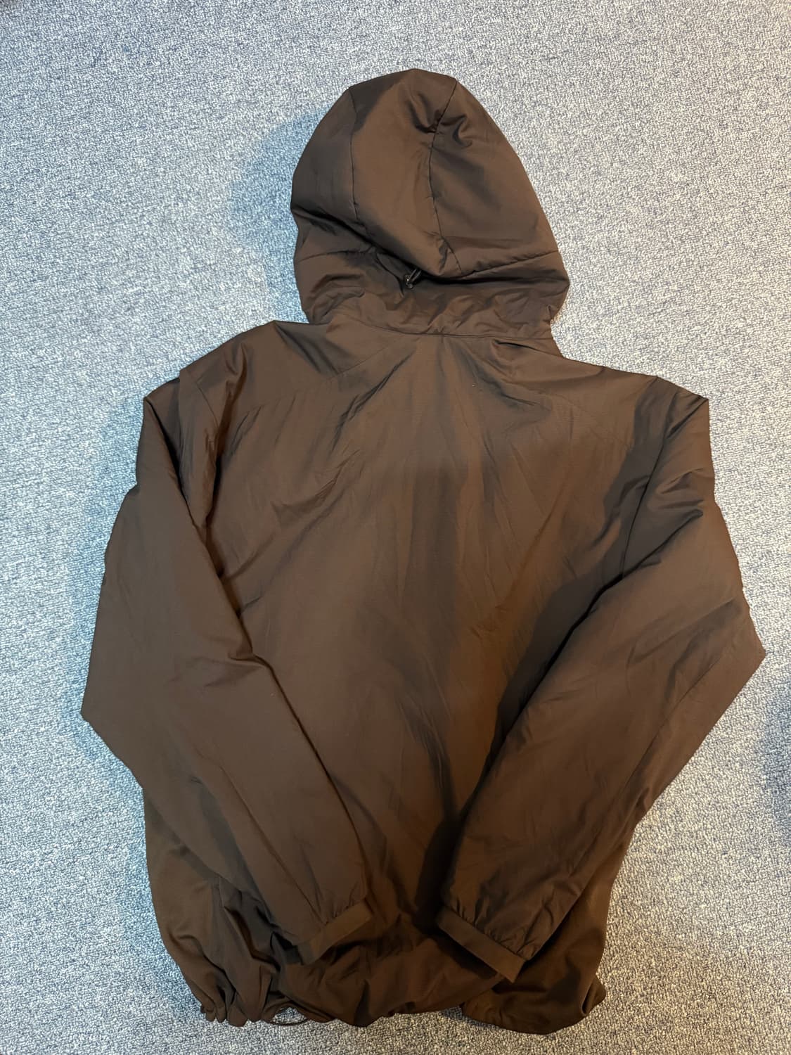 아크테릭스 아톰lt 후디 상품이미지8