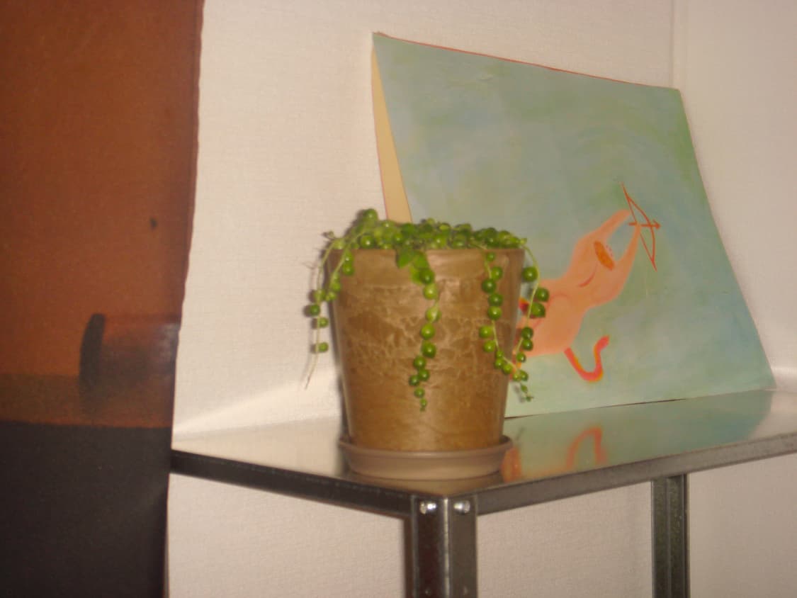 소니 사이버샷 dsc-t10 상품이미지6