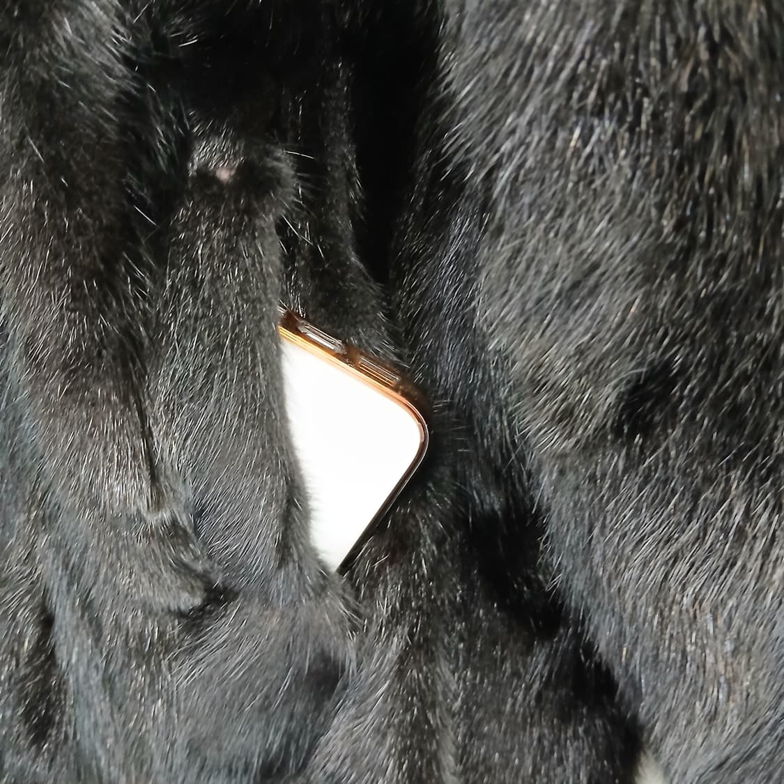 MALIELLAROSATI 블랙 밍크 코트 여성용 상품이미지4