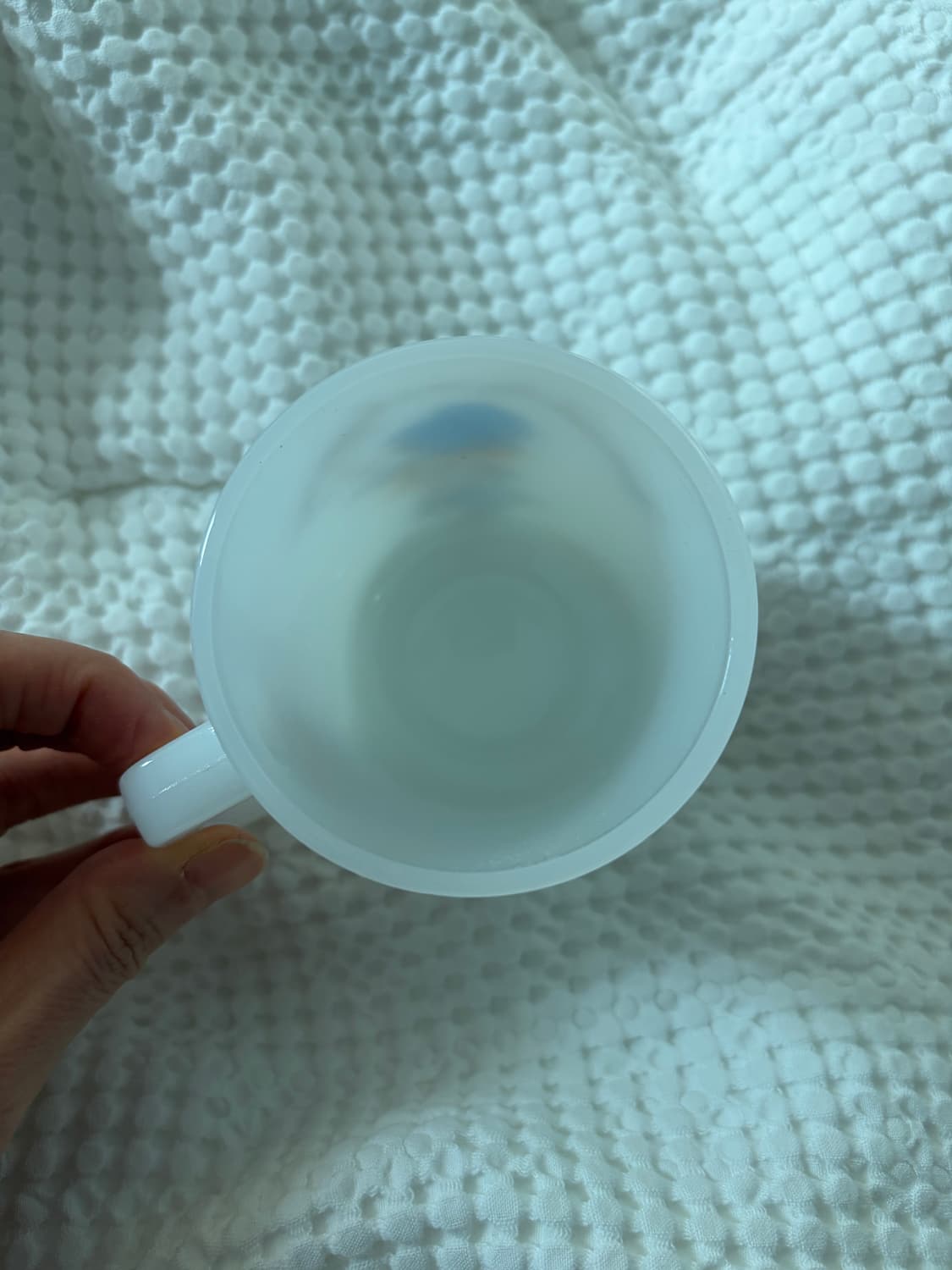 홀리하비 밀크글라스  상품이미지3