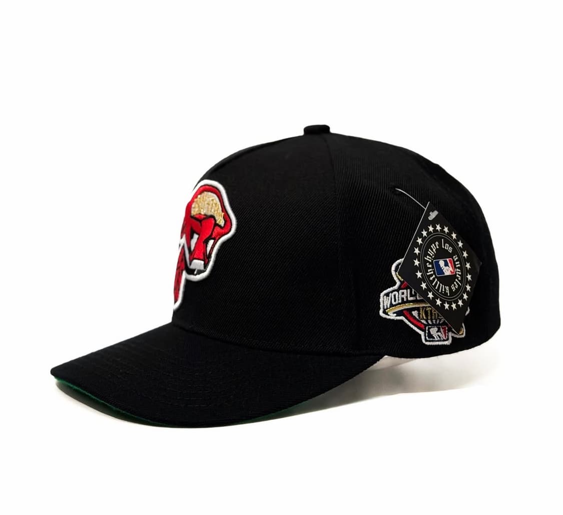 크리스브라운 KILL THE HYPE 클리블랜드 업사이드다운 스냅백 모자 상품이미지3