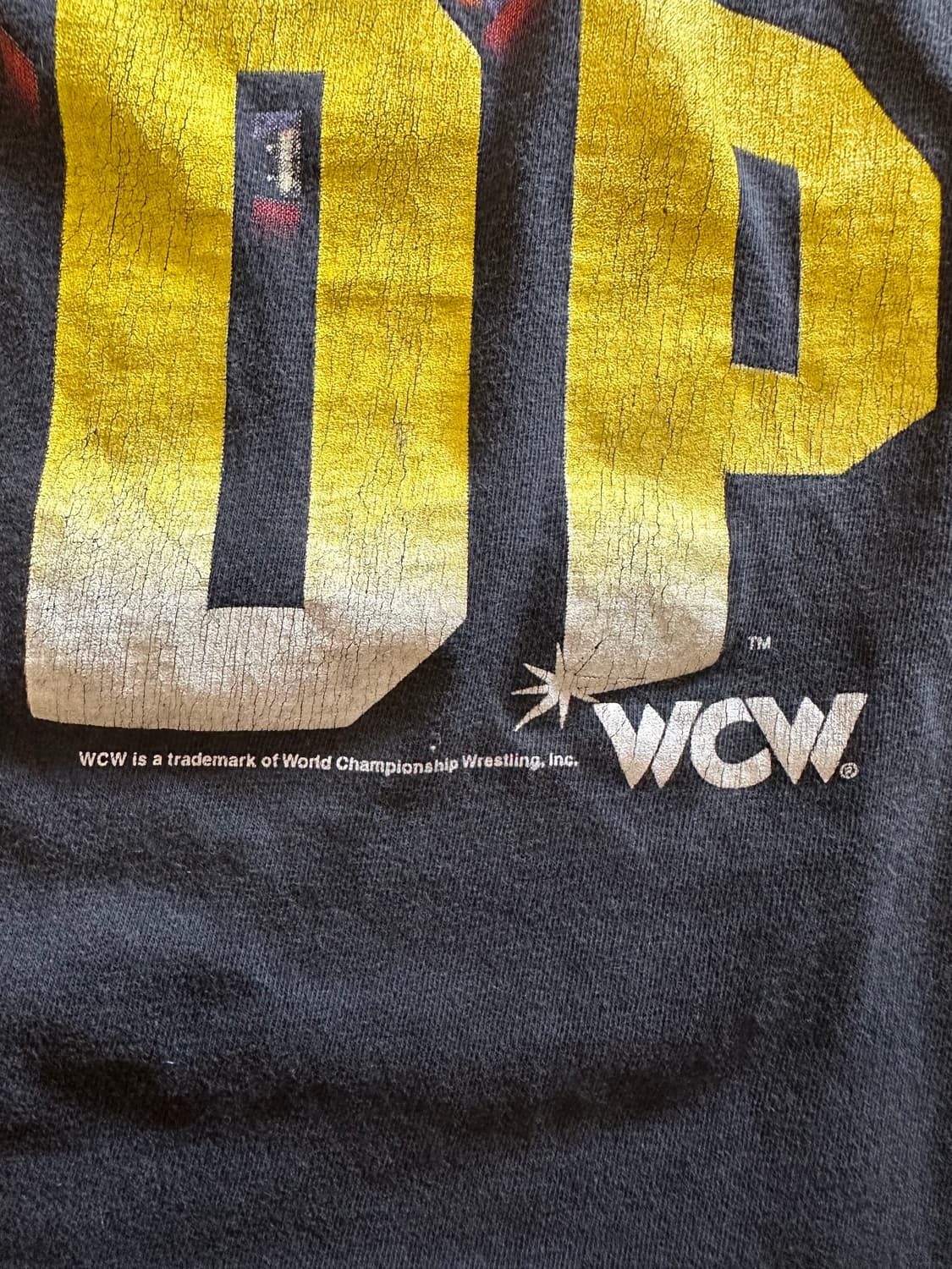 90's WCW Diamond Dallas Page 'DDP' tee 상품이미지4