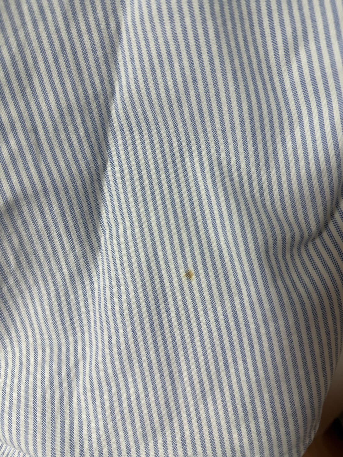 폴로 랄프로렌 스트라이프 셔츠 상품이미지3