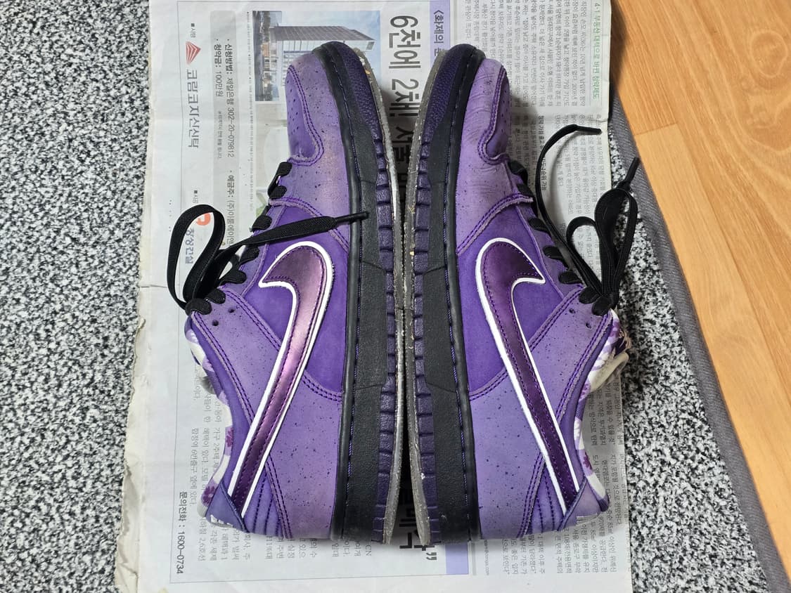 [250] 나이키 SB 덩크 로우 컨셉트 퍼플 랍스터 레귤러 박스 상품이미지4