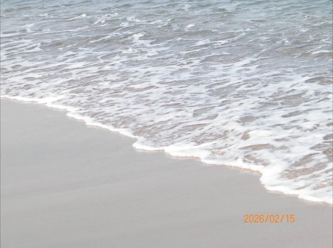 삼성 VLUU-PL170 한효주디카 빈티지디카 상품이미지5