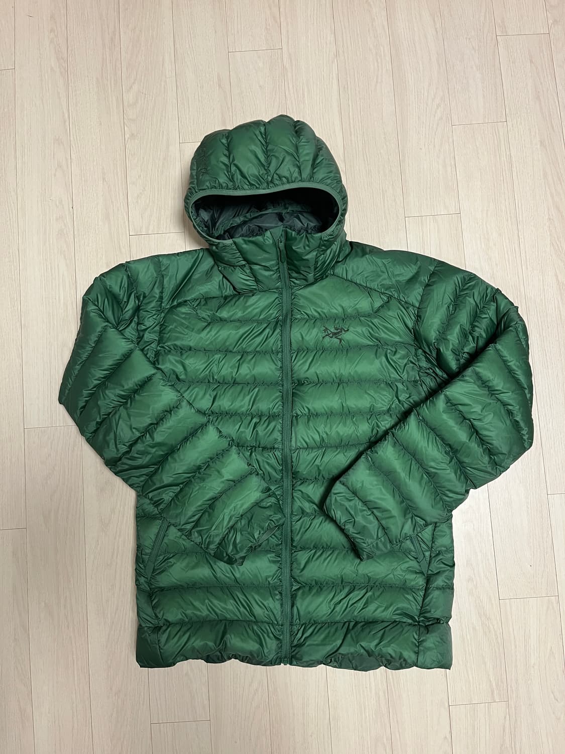 아크테릭스 세륨 M 에덴 상품이미지1