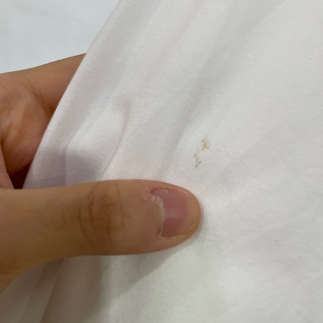 돌체앤가바나 화이트 솔리드 셔츠 상품이미지8