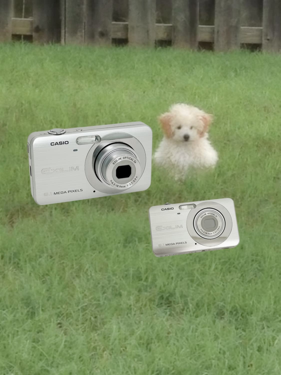 카리나디카!) 카시오 엑슬림 z80 Exilim 빈티지 디카 상품이미지1