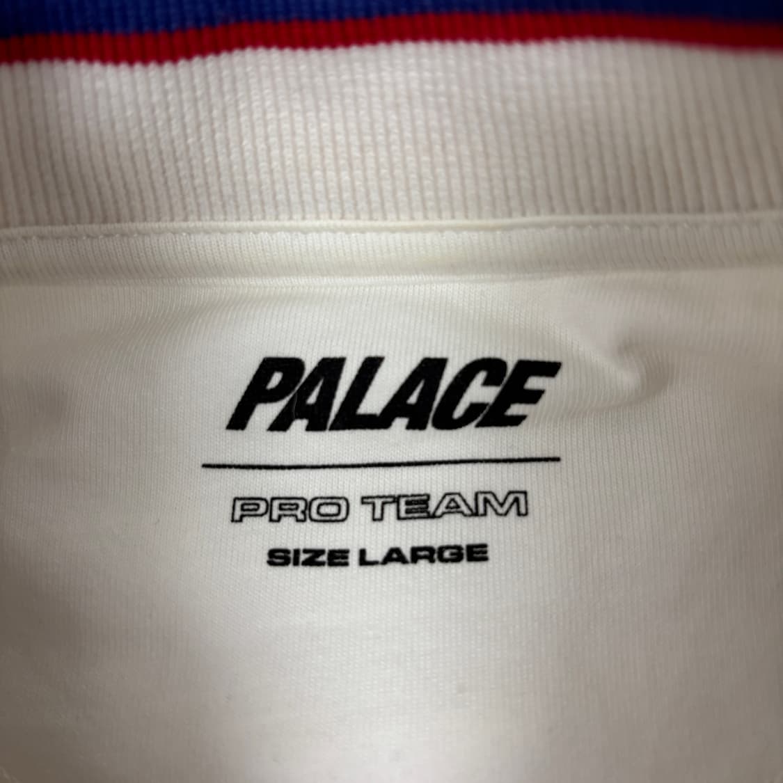 팔라스 24SS STAR SCRIPT CREW 맨투맨 상품이미지7