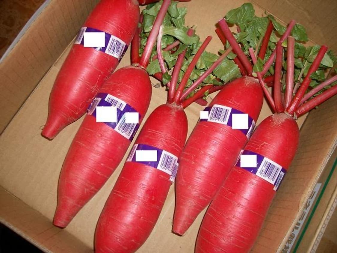 산요 SANYO Xacti VPC-S60 실버 상품이미지4