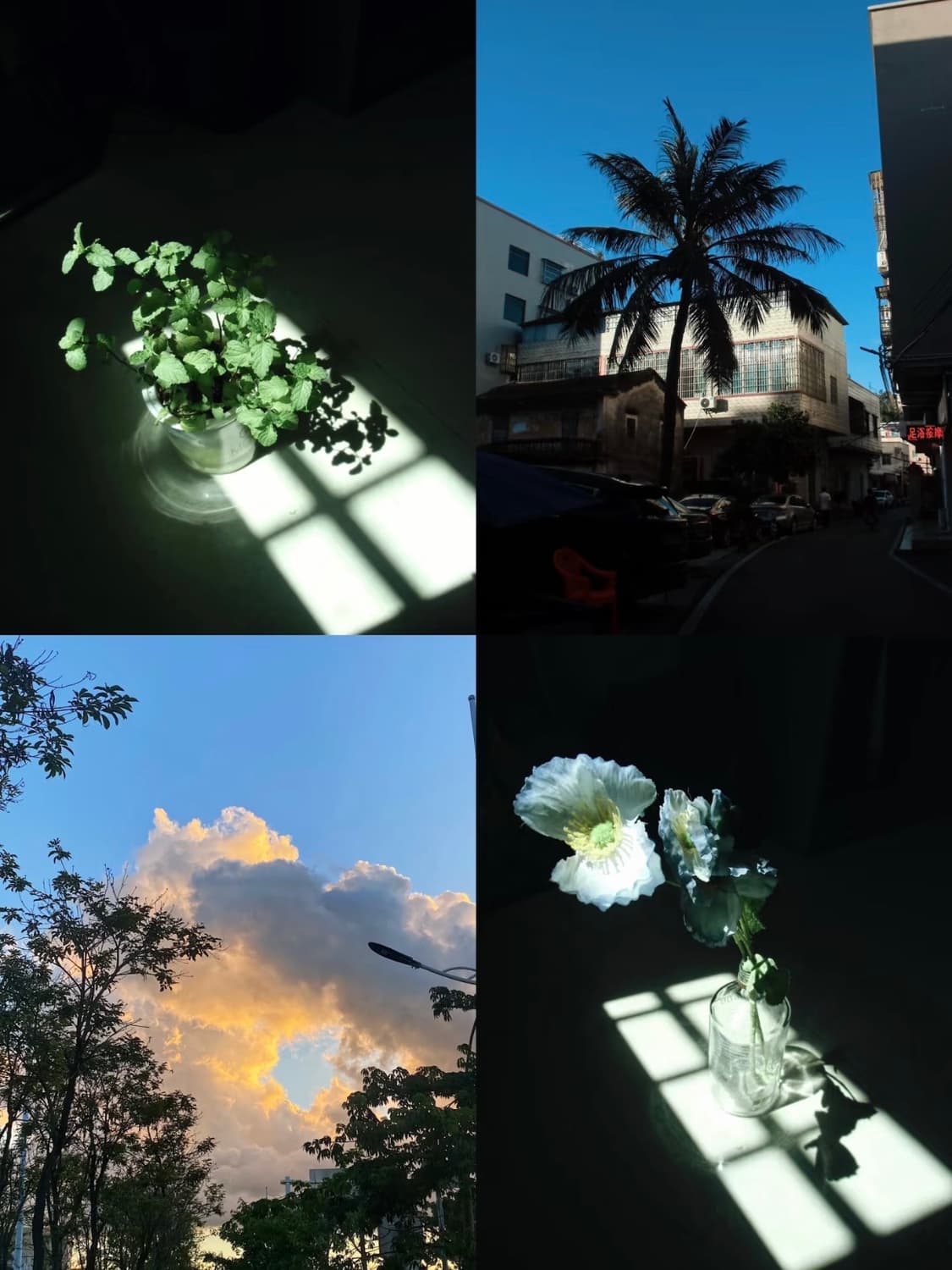 카시오 엑슬림 ZS160 | Casio Exilim EX-ZS160 15 상품이미지2