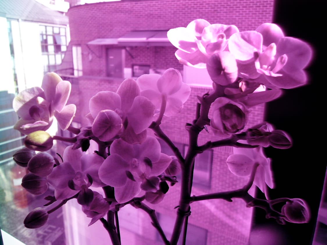 파나소닉 DMC-FX01 디카 (작례확인!)  상품이미지6