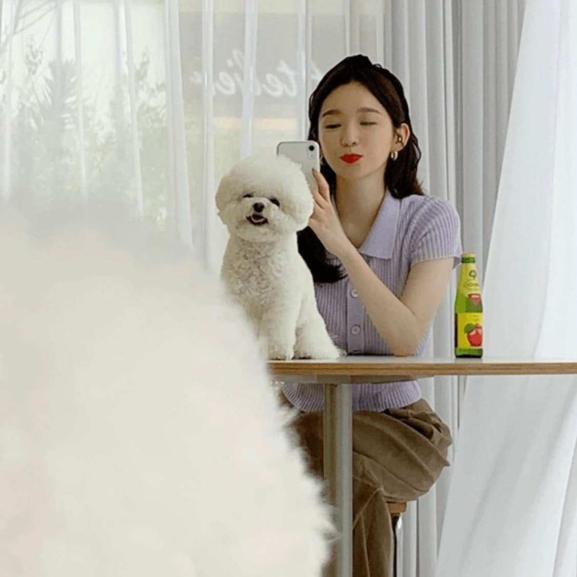 아비에무아 숏 슬리브 폴로 가디건 상품이미지3