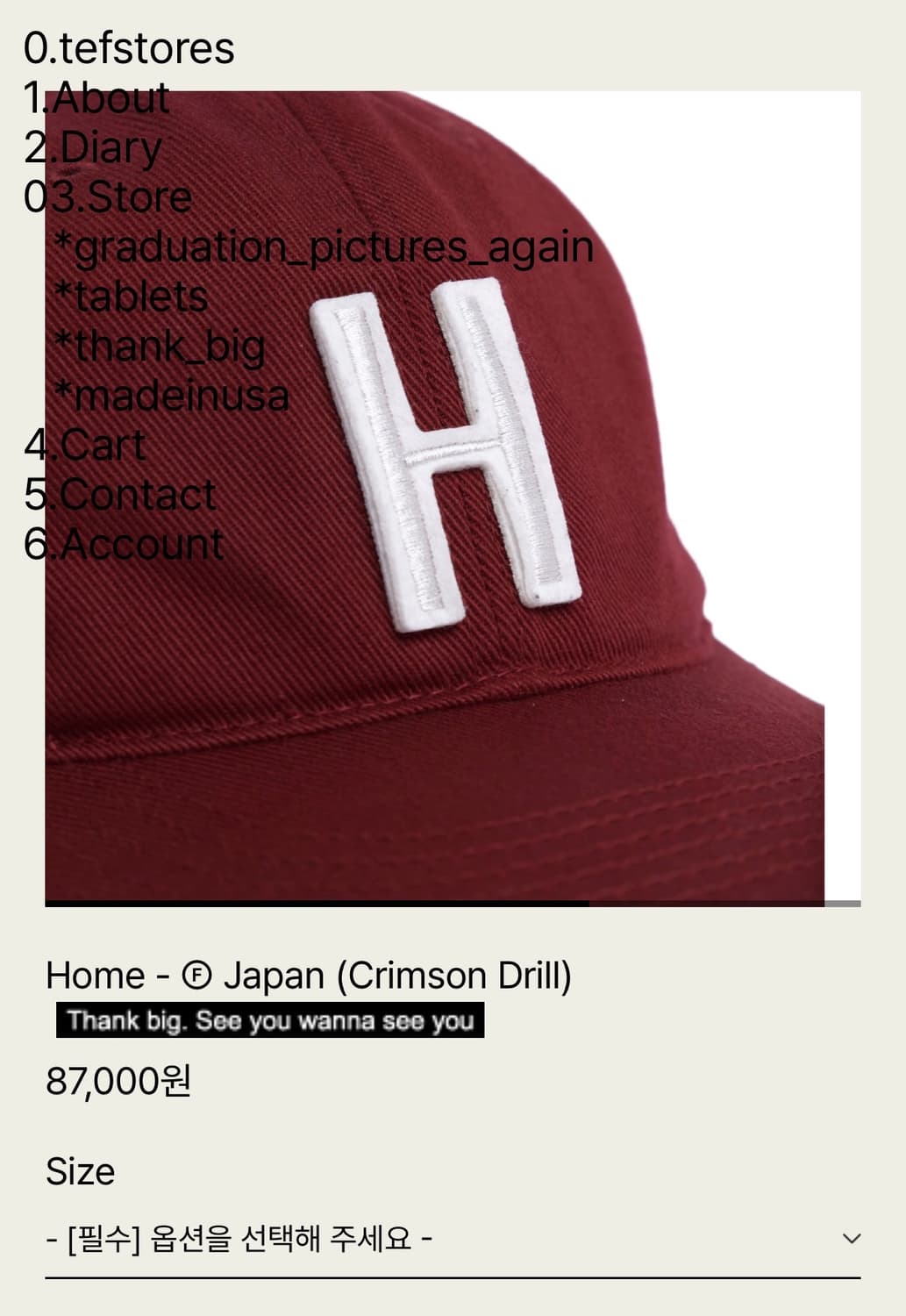 tefstores 볼캡 M 상품이미지2
