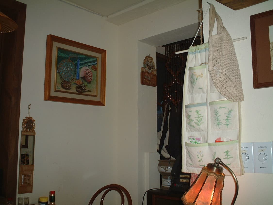 후지 파인픽스 4500 디지털카메라 상품이미지8