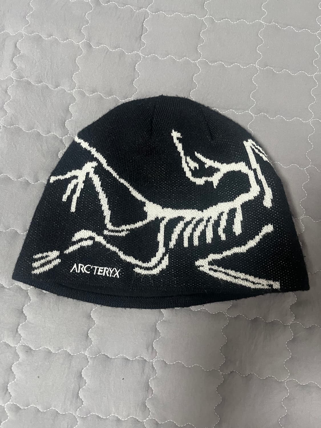 아크테릭스 비니 상품이미지2