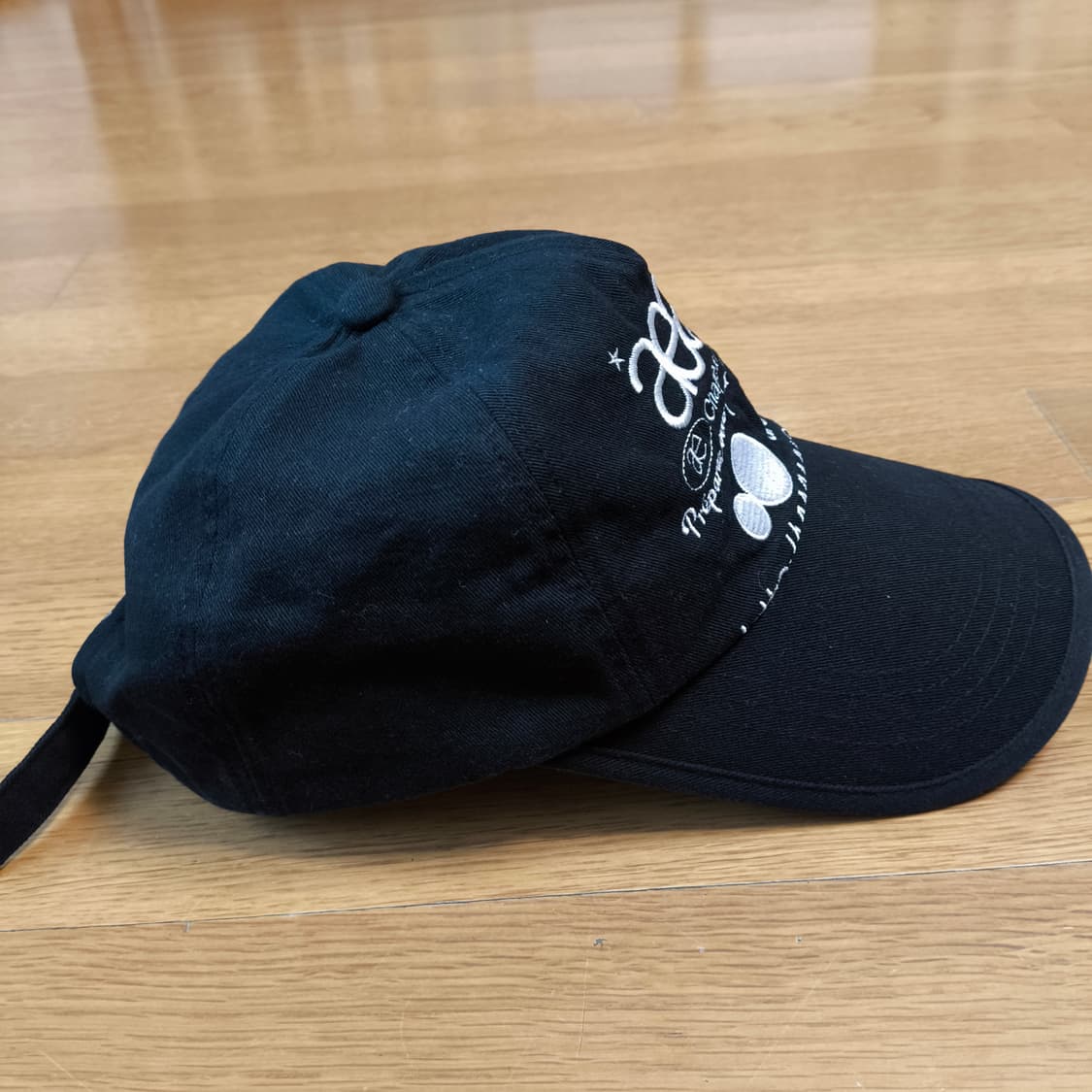 aeae 에이이에이이 웹 로고 5 패널 볼캡 상품이미지4