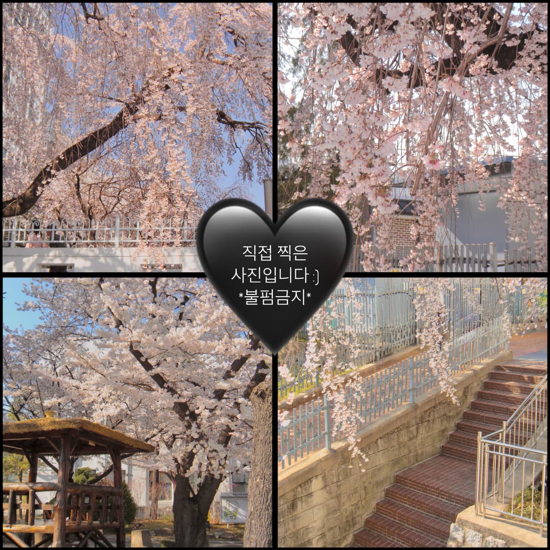 [작례⭕️뽀용디카]니콘 쿨픽스 S60 충전기 배터리 포함 무배 상품이미지9