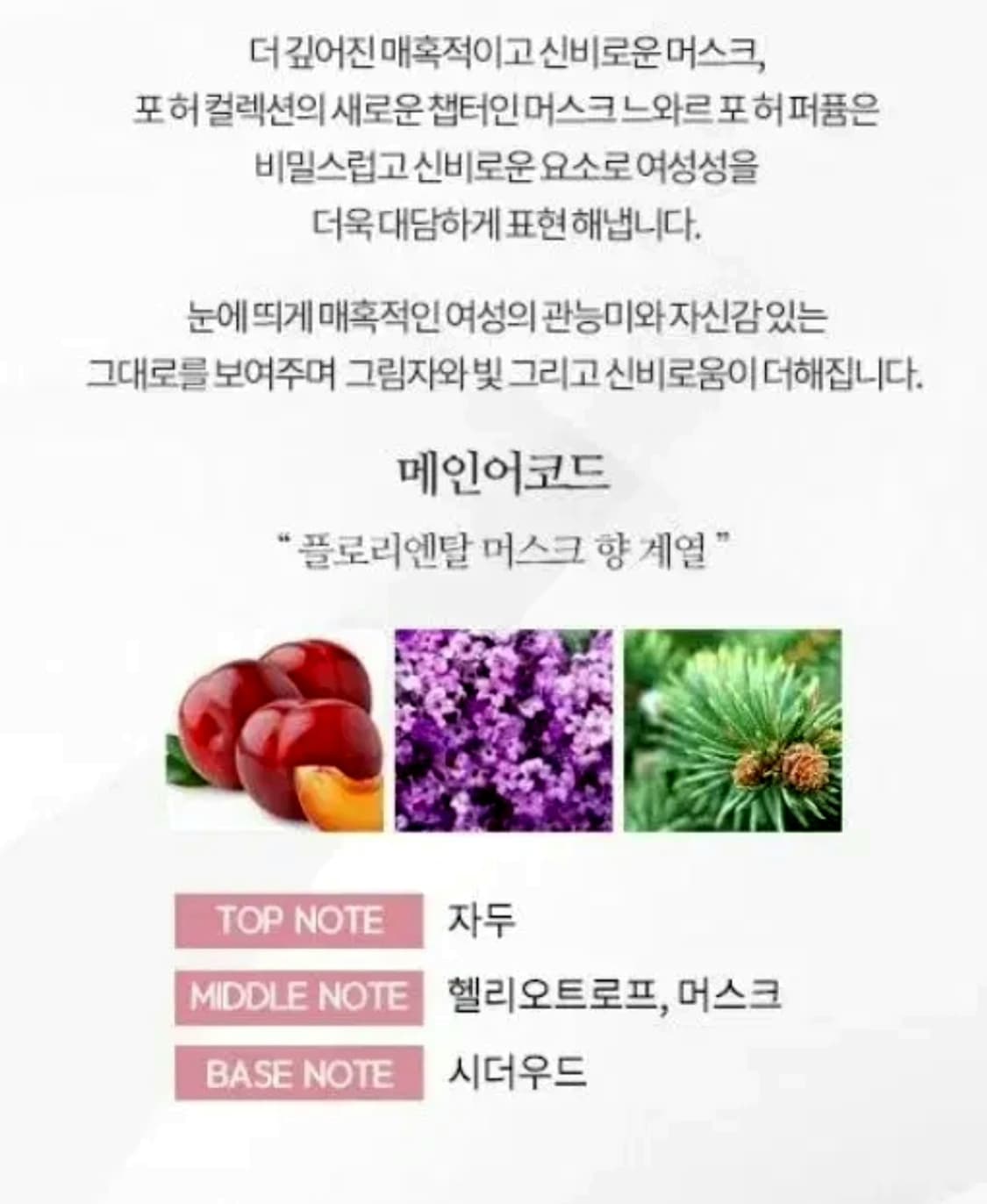나르시소 로드리게즈 머스크 누와르 포허 EDP 100ml 상품이미지3