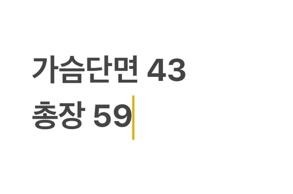 히스테릭글래머 백 프린팅 뱃지 블랙 자켓 상품이미지5