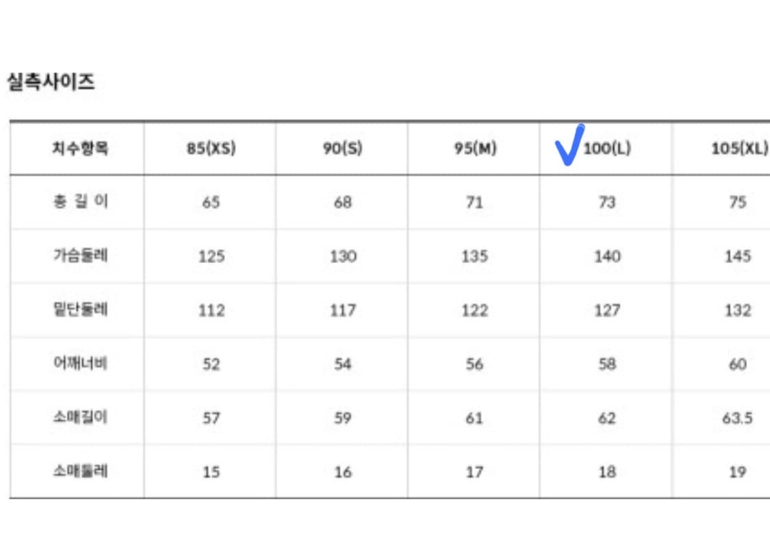 [새상품] 노스페이스 퀀텀 엘버런 퍼텍스 구스다운 패딩 그레이 L  상품이미지10