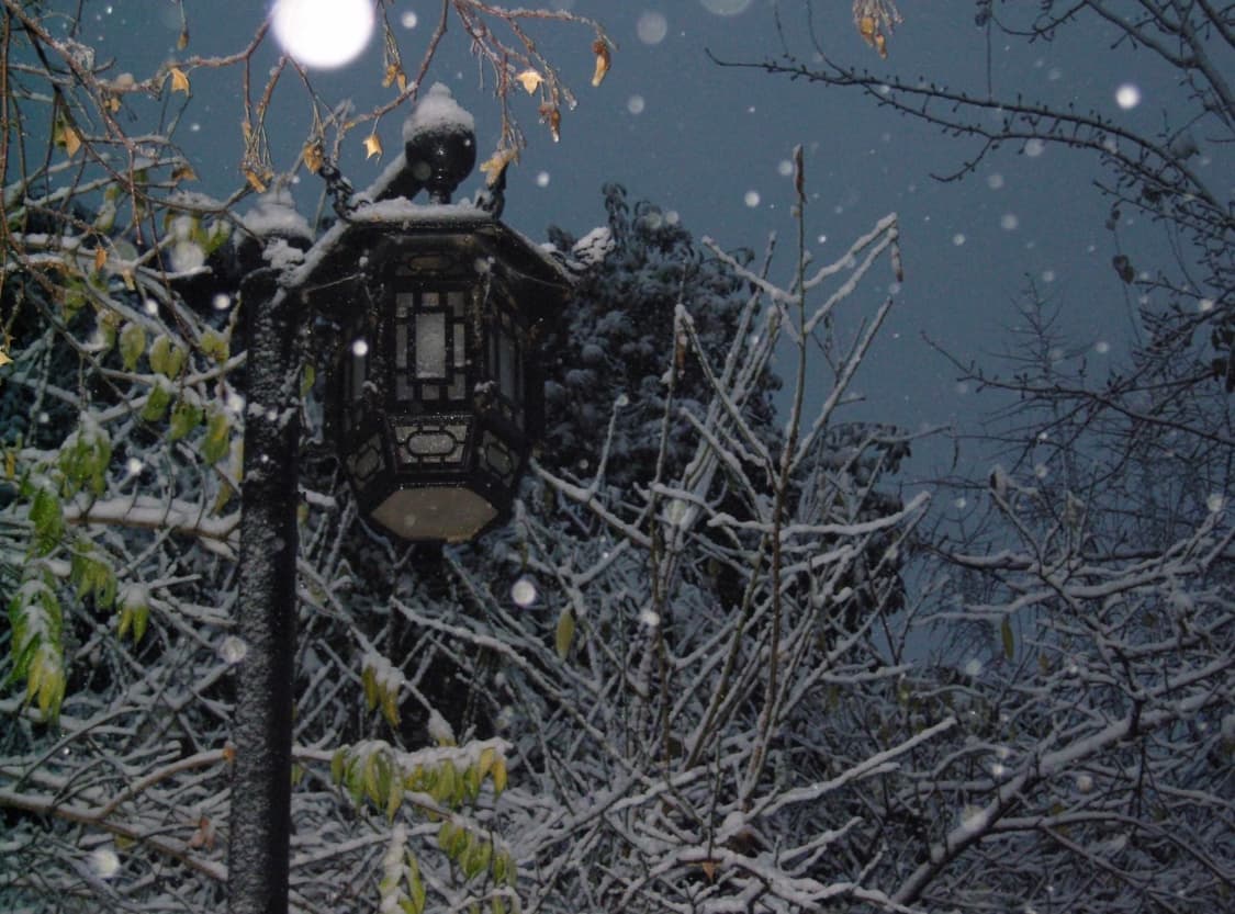 (슈나이더 렌즈) 삼성 VLUU NV20 🖤 상품이미지7