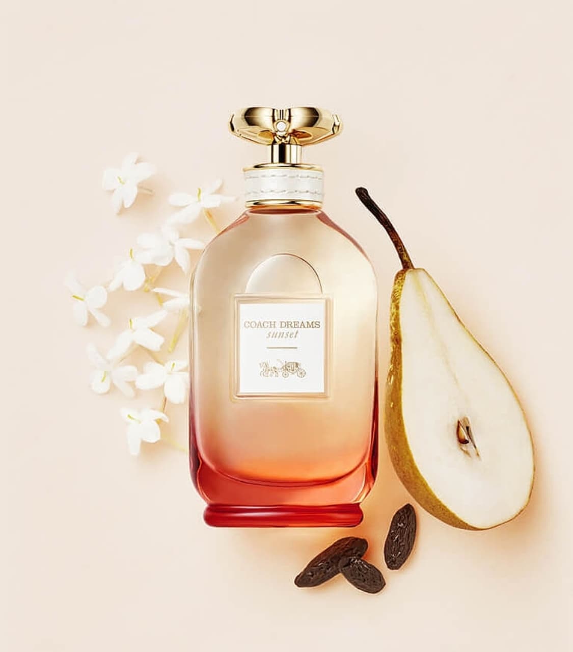 코치 드림 선셋 오드퍼퓸 90ml 상품이미지1
