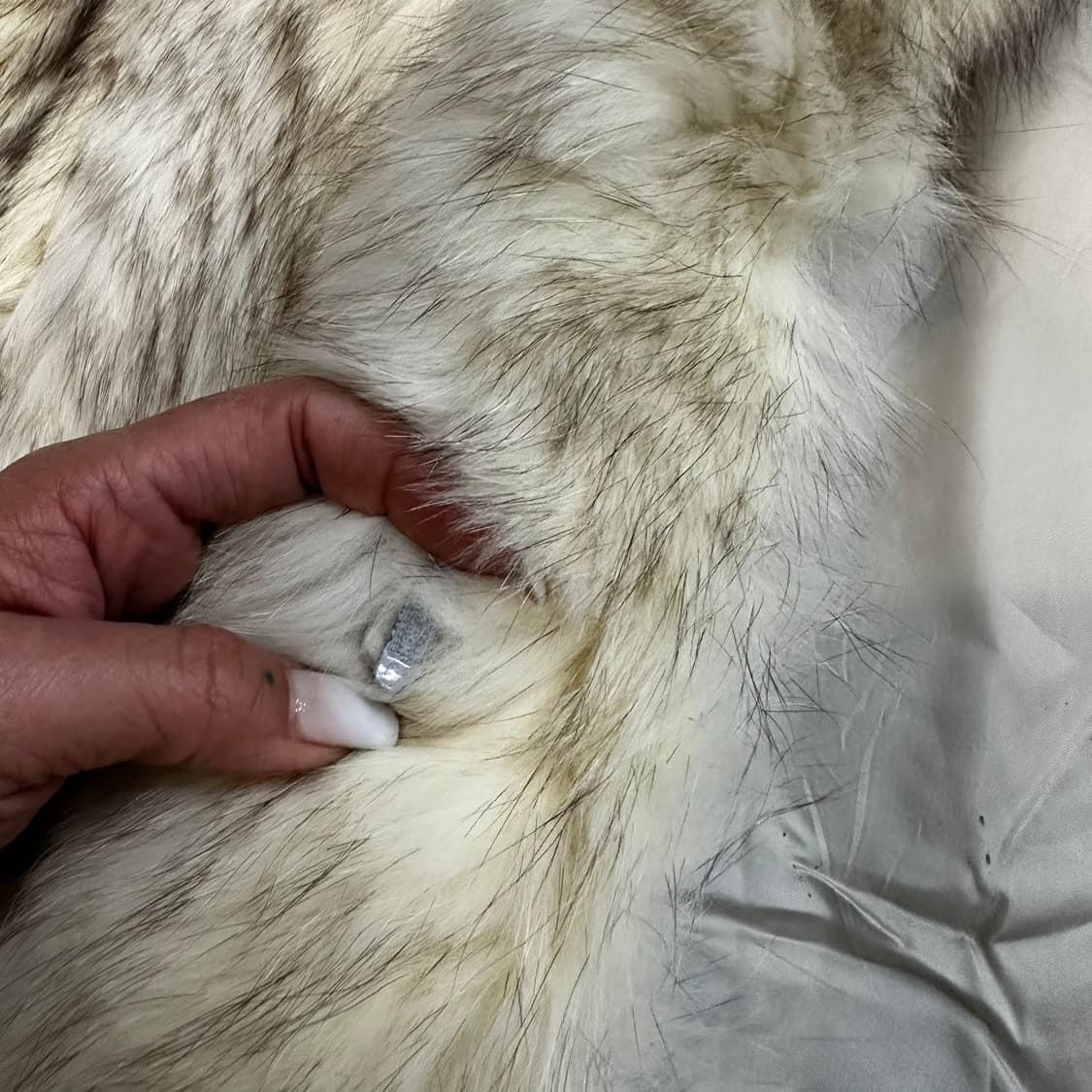 화이트 브라운 믹스컬러 사가폭스 퍼자켓L 상품이미지4