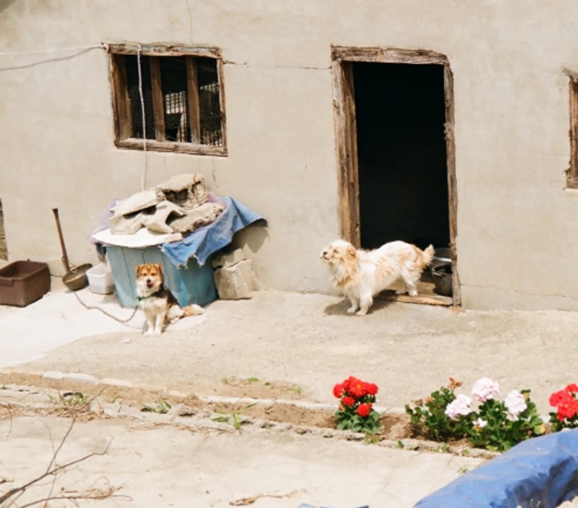 미놀타 리바줌 70w 필름 카메라 상품이미지9