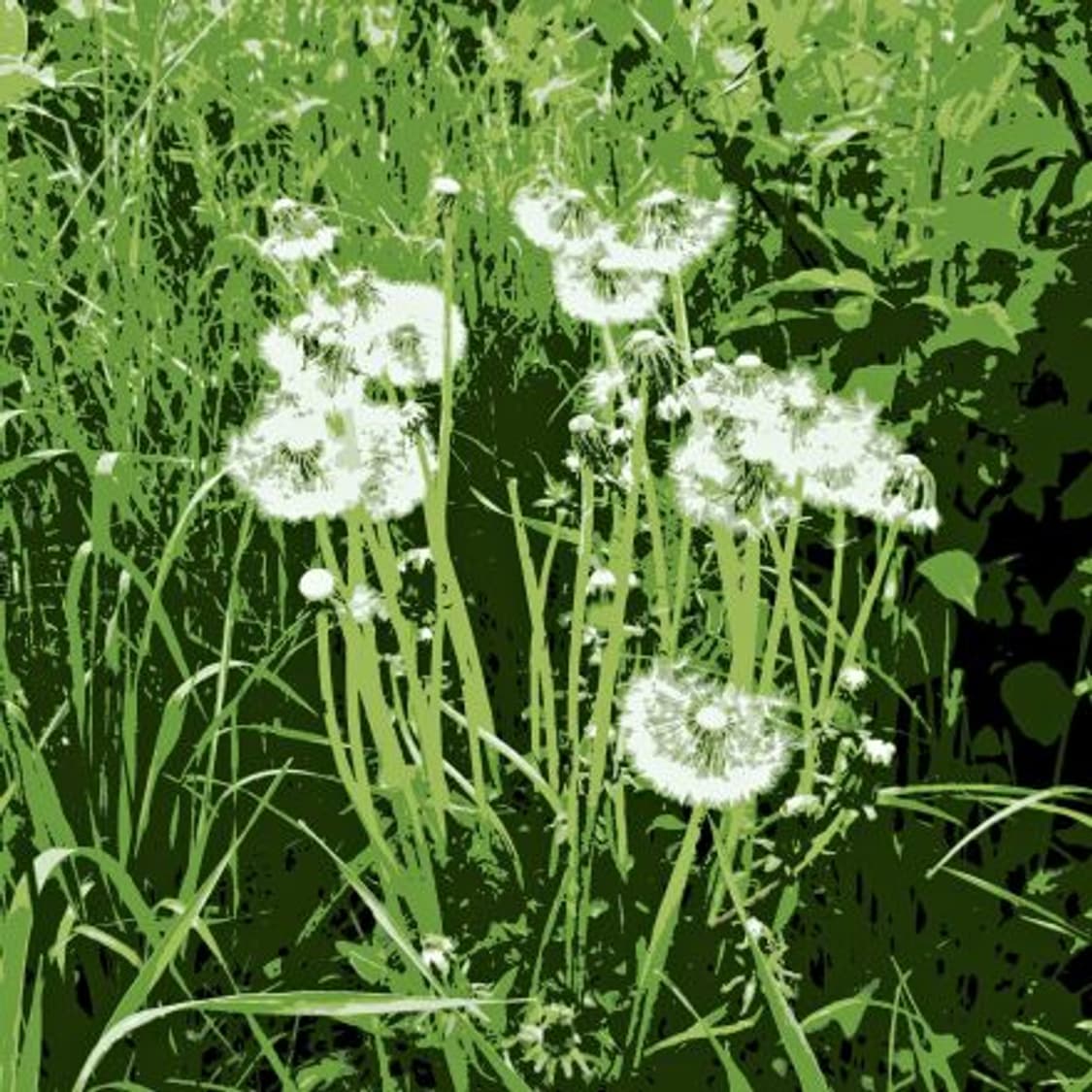 Kodak easyshare c195 코닥 이지쉐어 디카 카메라 상품이미지3