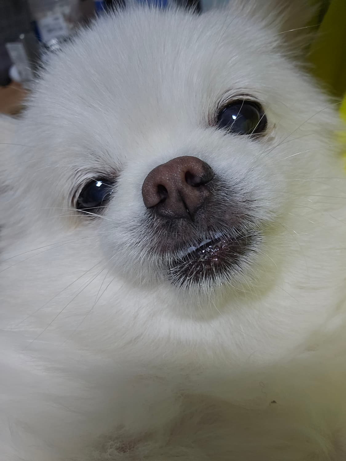 개인결제 상품이미지1