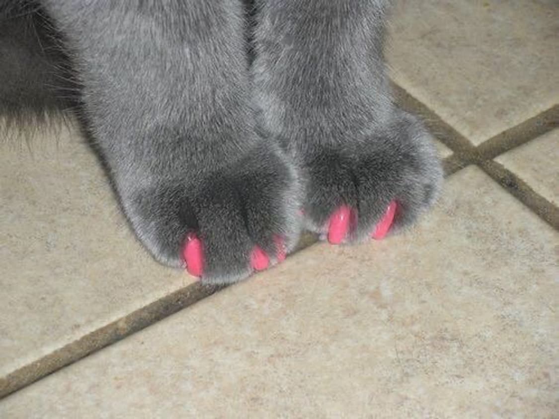 뉴문 세일합니됴 ...2/5~2/9! 상품이미지1