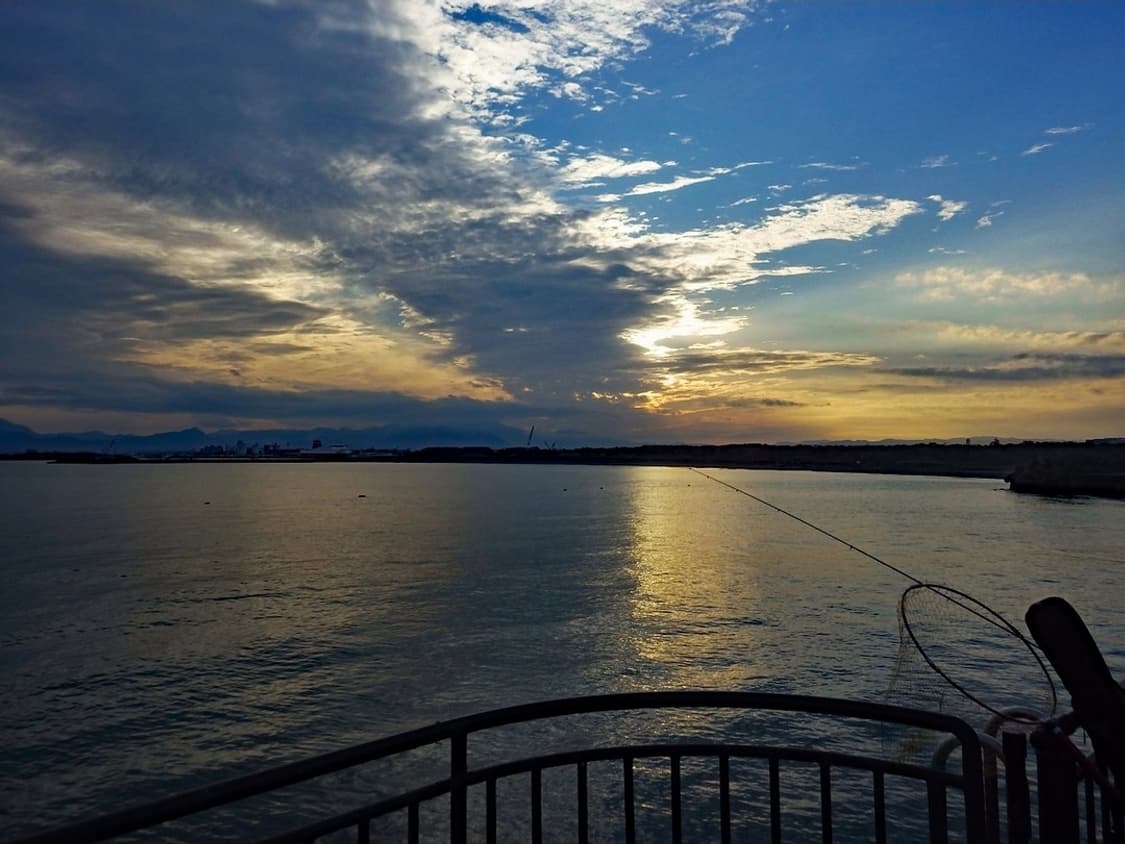 ✨ 리코 WG-4 방수 디카 ✨
💦 든든한 방수 러기드 카메라 💪📸 상품이미지5