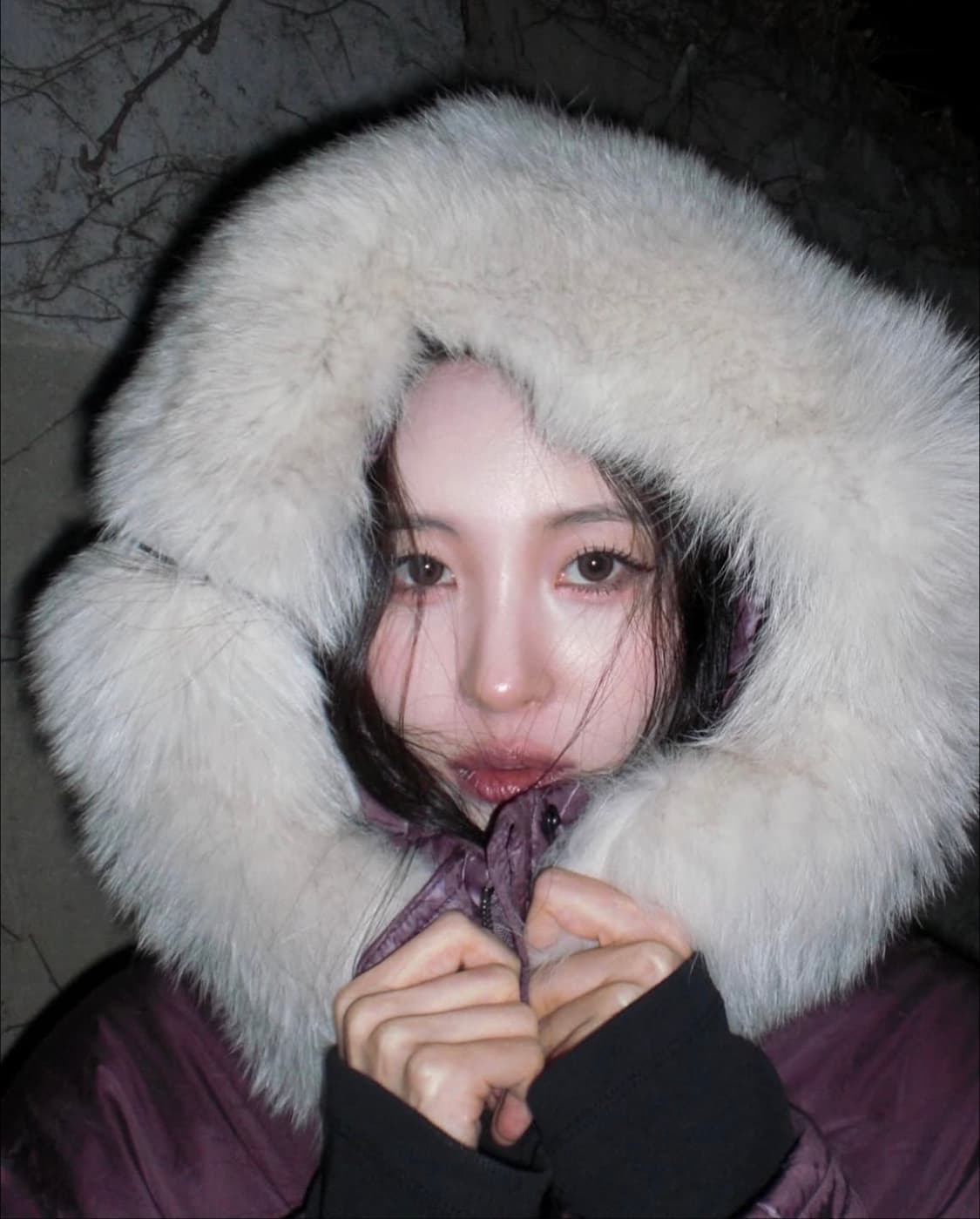 프리지아, 카리나, 선미 디카 카시오 엑슬림 ex-z80작례o 상품이미지3