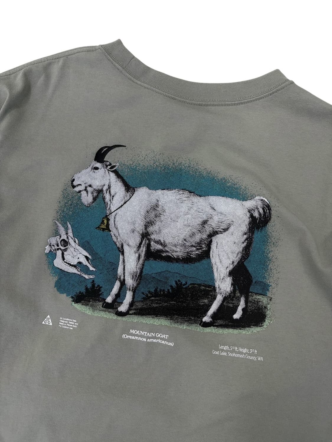 나이키 ACG 고트 반팔 카키 (2XL) 상품이미지8