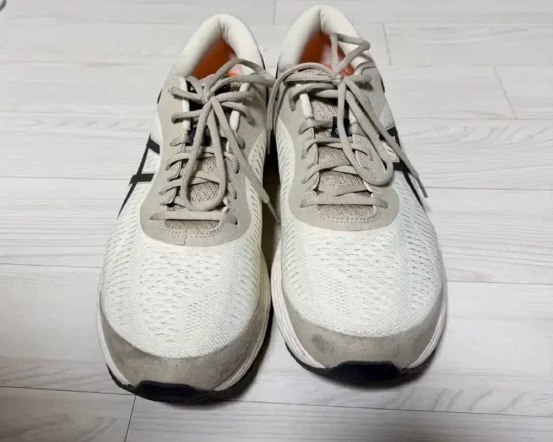 290] 아식스 x 레이닝 챔프 젤카야노 25 상품이미지3