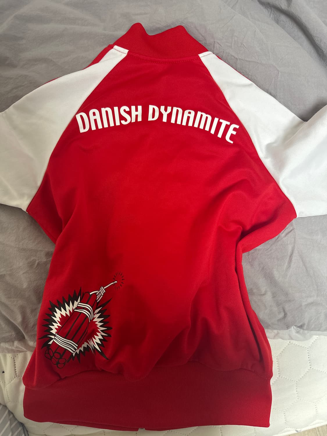 아디다스 덴마크 한정판 져지(희귀) 상품이미지3