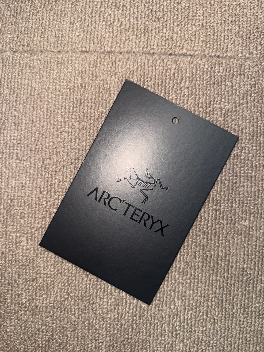 아크테릭스 세륨 논후디 블랙 S 상품이미지7